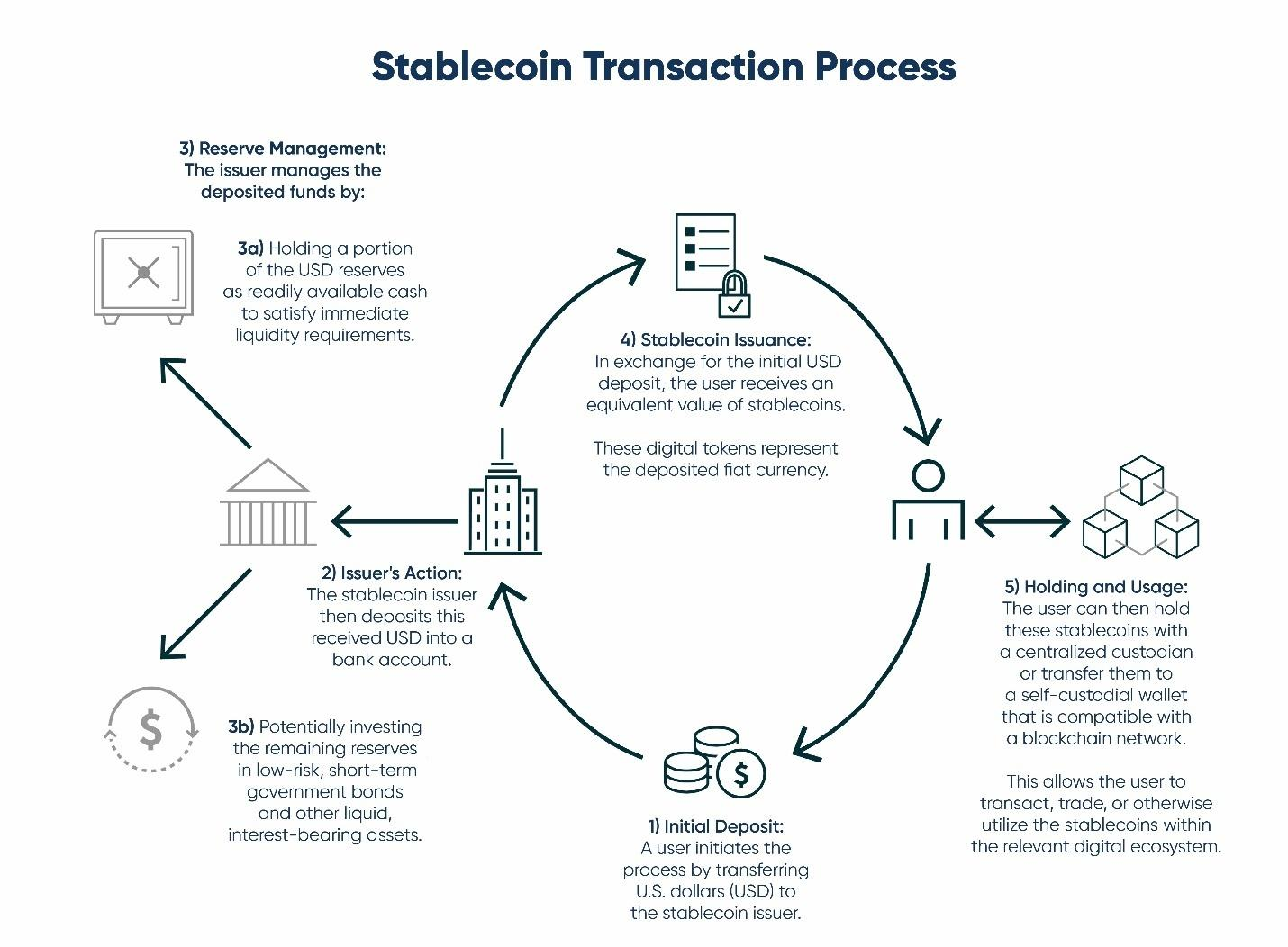 Visual infographic explaining stablecoin types, mechanisms, and global adoption trends.