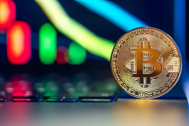 Bitcoin in the cryptocurrency market