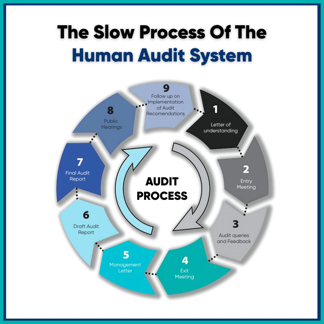 audit process