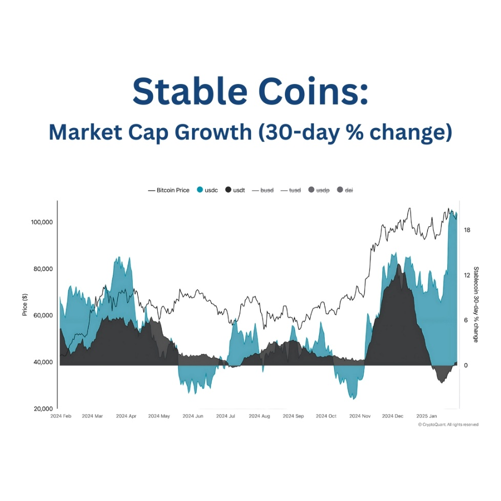A graph showing Bitcoin price alongside change in market capitalization for various stablecoins