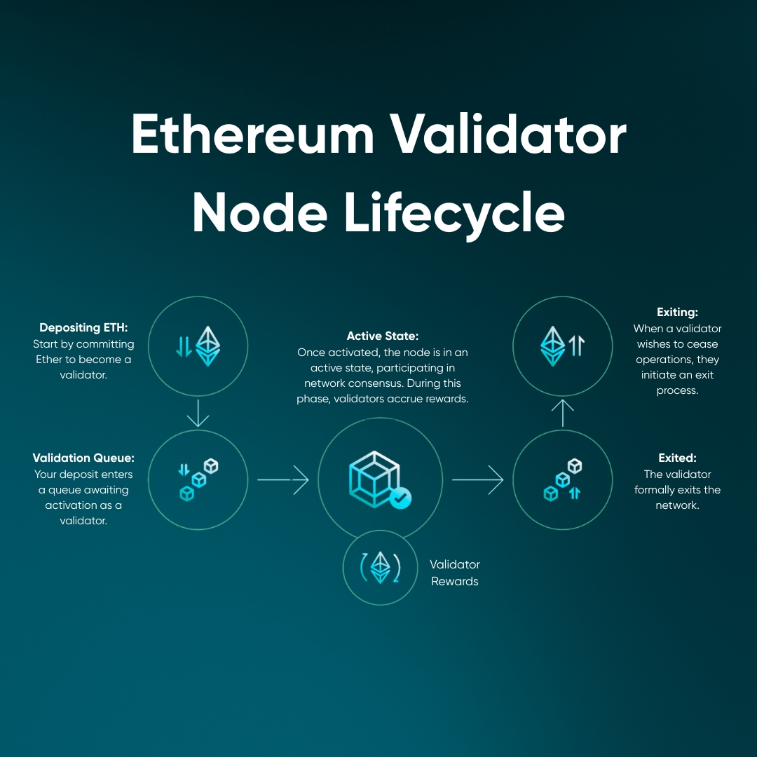 The process of "Setting up a Validator Node" on Ethereum.